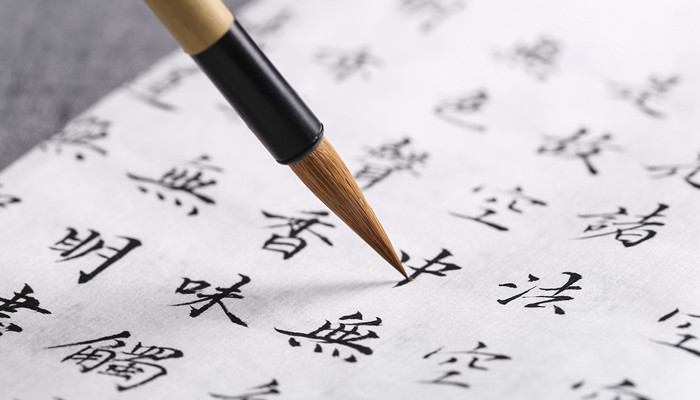 回馈是什么意思 回馈的意思是什么
