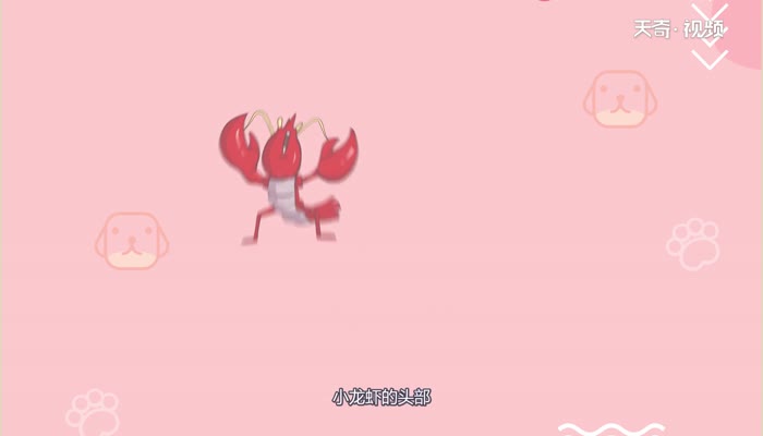 虾黄是什么  什么是虾黄
