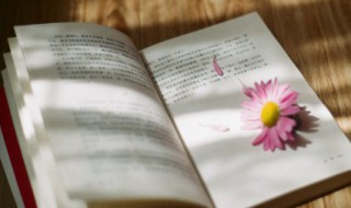 关于经典人生语录（有关人生的经典语录）