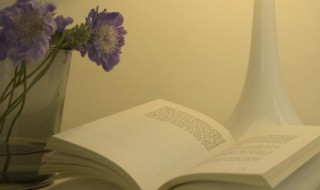 励志人生语句 励志人生语句的清晰壁纸