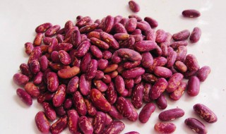 花芸豆的储存方法（花芸豆的储存方法有哪些）