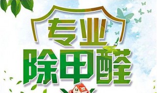 什么可以除甲醛又快又好 什么可以除甲醛又快又好用