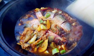 跟鱼相克的食物有哪些（与鱼相克的食物）