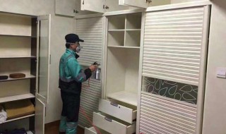 什么东西去除甲醛味最快 什么东西去除甲醛味最快有效