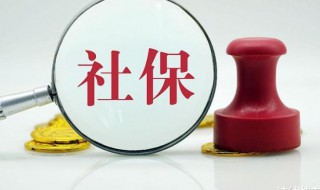社保自己怎么交（上海社保自己怎么交）