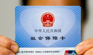 个人社保编号怎么查（个人社保编号怎么查询有几位数）