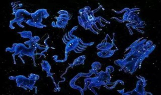 十二星座的守护花 十二星座的守护花精灵王图片