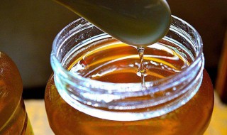 吃土蜂蜜的禁忌 土蜂蜜食用禁忌