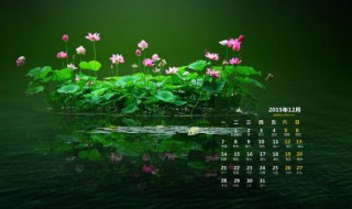 2020年9月宜嫁娶的日子（2022年9月宜嫁娶的日子）