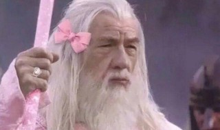 一本正经最后沙雕的故事 一本正经最后沙雕的故事长篇视频