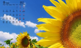 9月黄道吉日有哪几天 9月黄道吉日有哪几天适合领结婚证