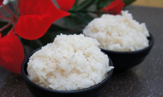 减肥是吃肉不吃米饭吗（减肥是吃肉不吃米饭吗会瘦吗）