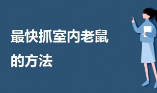 最快抓室内老鼠的方法（室内如何抓老鼠）