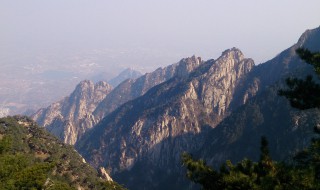 为什么泰山爬单不爬双（泰山不能爬单数）