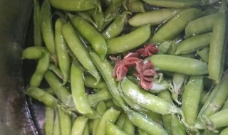 豆荚怎么放冰箱保存（豌豆荚怎么放冰箱保存）
