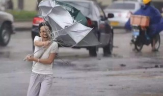 台风天气为什么不能吃海鲜 台风天气为什么不能吃海鲜呢