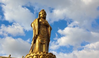 普陀山南海观音介绍（普陀山南海观音是什么观音）