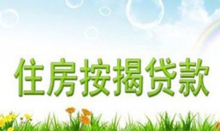 什么是按揭（什么是按揭车）