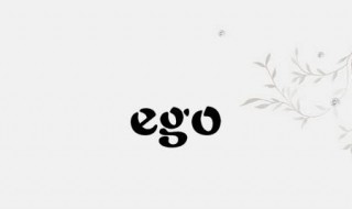 ego是什么意思中文 egoo是什么意思