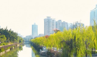 中国十大宜居城市（中国十大宜居城市2022）