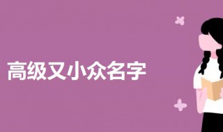 高级又小众名字（小众又高级的名字）