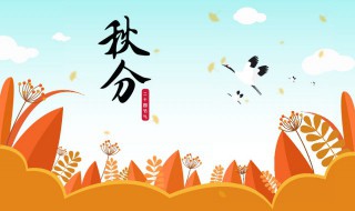 秋分的特点是什么（秋分的特点有哪些）