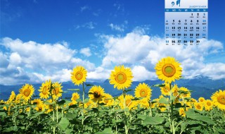 9月份的结婚黄道吉日（9月份的结婚黄道吉日有哪些）