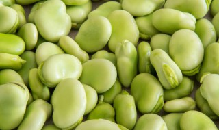新鲜蚕豆米保鲜方法 新鲜蚕豆米保鲜方法窍门