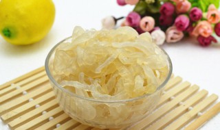 海蜇的折叠方法（海蜇怎么折）