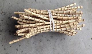 怎样正确判断竹鞭的位置 怎样看竹鞭方向