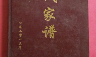 家谱如何写才是正确（家谱是怎么写的）