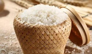 大米防止生虫的七个方法（大米防止生虫的七个方法五岁宝宝贫血怎么办）