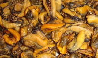 淡菜如何清洗（淡菜如何清洗才干净）