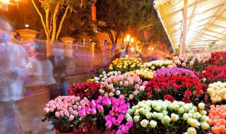 干花需要插在水里吗 干花需要放水里吗