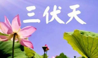 暑伏是什么时间开始的（请问什么时候暑伏）