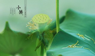 小暑的含义和由来 小暑的含义是什么