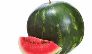 迷你西瓜种植方法 迷你西瓜种植方法视频