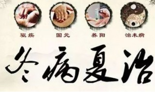 什么是三伏调理 三伏调理的好处