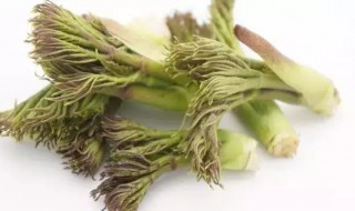 刺嫩芽的食用方法 刺嫩芽的吃法大全