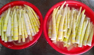 苦笋保鲜一年的方法（苦笋如何保鲜贮藏半年以上）
