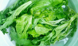青菜如何清洗（青菜如何清洗可以洗掉虫子）