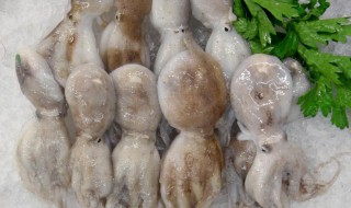 如何清洗章鱼（如何清洗章鱼内脏）