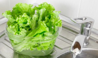 生菜如何清洗 生菜如何清洗才能生吃