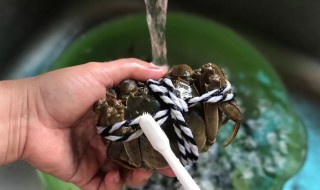如何清洗大闸蟹 如何清洗大闸蟹的毛