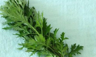 艾草可以挂门里吗 艾草可以挂门里吗图片