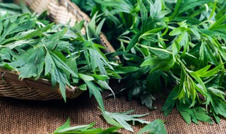 艾草挂门中间吗（艾草是挂门两边还是门上）
