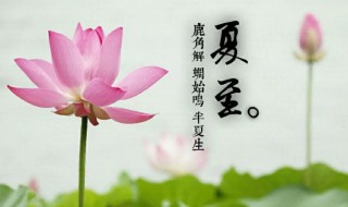夏至什么时候（夏至什么时候天黑）