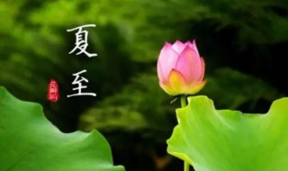夏至是夏天结束了吗 夏至是夏天结束还是夏天开始
