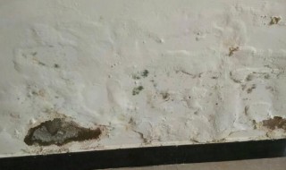 墙面反碱怎么办（墙面反碱怎么办呢）