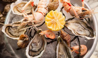 各种海鲜选购及食用禁忌知识（各种海鲜选购及食用禁忌知识图片）
